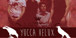Yucca Velux en concert