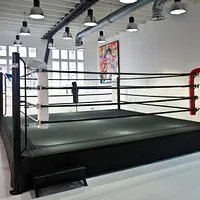 Sweat Boxing