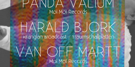 Moï Moï Records Label Night #2