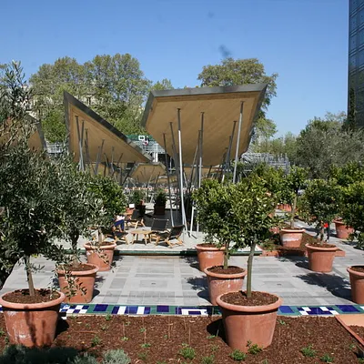 Exposition Jardins d'Orient : excursion en terre orientale, en plein Paris