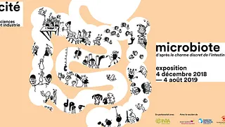 Microbiote, d'après « Le charme discret de l'intestin »