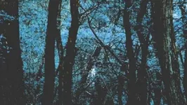 No Mountains • Sophie oZ • George Random // Supersonic - Gratuit