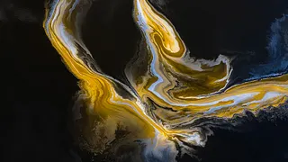 Exposition "Obsession !" de Yann Arthus-Bertrand