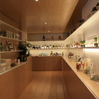 Umami Matcha Café