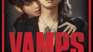 Vamps en concert