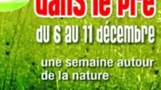 Le Bar Est Dans Le Pré