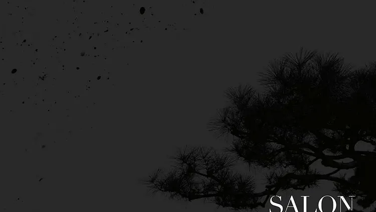 Salon des Beaux Arts 2017