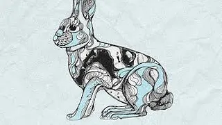 Bass y Bouzouk Vs Follow The White Rabbit