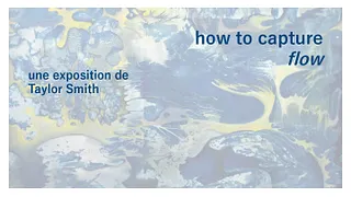 Exposition : "How to Capture Flow" de Taylor Smith