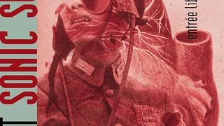 SONIC SURGEON LIVE AU BE THERE
