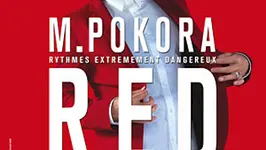 M Pokora en concert