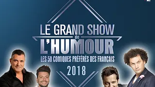 LE GRAND SHOW DE L'HUMOUR