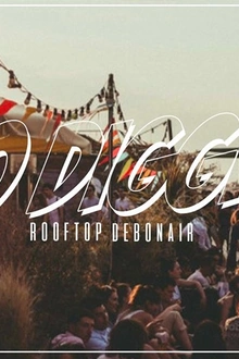 NO DIGGITY ALL STARS