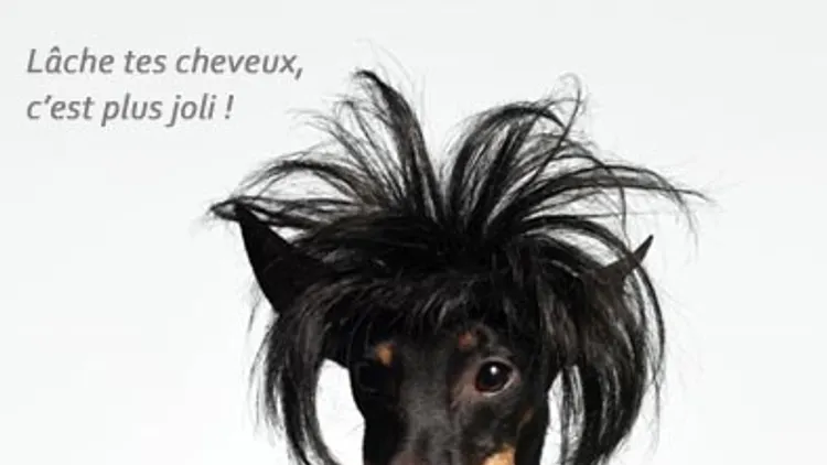Haircut stratagem