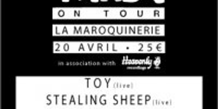 Disquaire Day PArty - Toy + stealing sheep + charlie boyer & the voyeurs