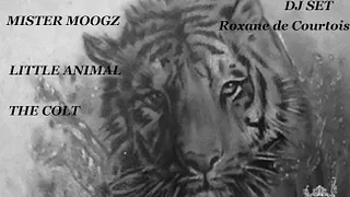 Mister Moogz // Little Animal // The Colt // Roxane de Courtois