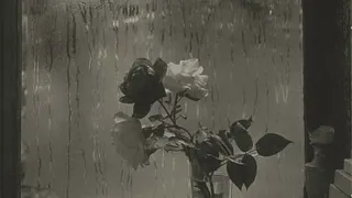 Josef Sudek Le monde à ma fenêtre