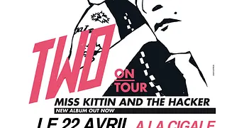 Miss Kittin & The Hacker en concert