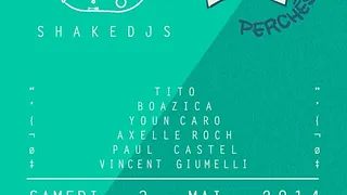 Shake DJs vs Chats Perchés